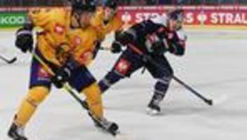 deutsche eishockey-liga: augsburger panther müssen auf anrei hakulinen verzichten