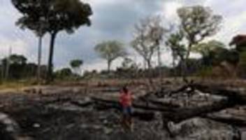 brasilien: brasilianisches parlament erschwert schutzgebiete für ureinwohner