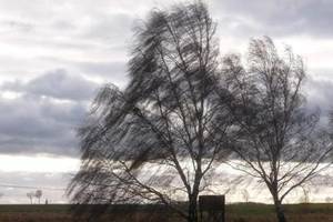 beaufort-skala: einteilung der windstärke-stufen erklärt
