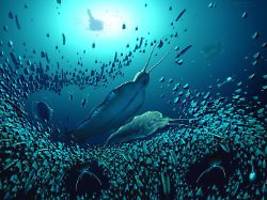 Erstes Raubtier der Evolution: Schreckenswurm beherrschte die Urzeit-Meere
