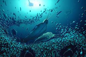Raubwurm: Schrecken der Meere vor über 500 Millionen Jahren
