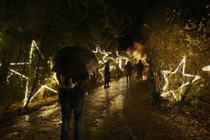 55.000 besucher wollten den christmas garden in augsburg sehen