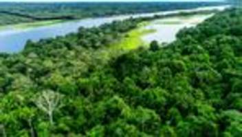 amazonas: verschwundene stadt mit tausenden einwohnern im amazonas nachgewiesen