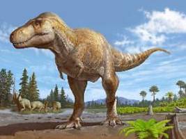 onkel löst herkunftsrätsel: das soll der engste verwandte des t-rex sein