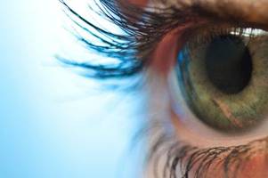 Vitamine für die Augen: Diese Nährstoffe sind wichtig