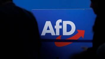 NPD-Urteil Blaupause für AfD? Politiker fordern Prüfung