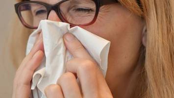 nachweise von grippeviren steigen in niedersachsen