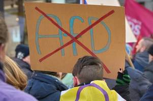 Ist das Karlsruher NPD-Urteil eine Blaupause für die AfD?