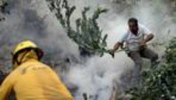 kolumbien: katastrophenfall wegen waldbränden ausgerufen
