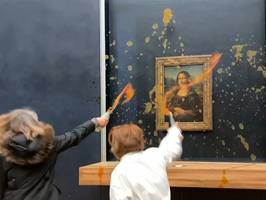 Louvre: Aktivistinnen bewerfen Mona Lisa mit Suppe