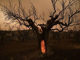 klimakrise: das waldbrandrisiko in südeuropa könnte sich bis 2100 verzehnfachen