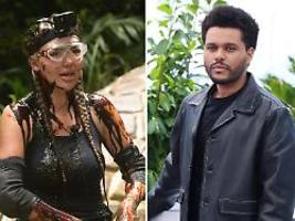 Andeutungen im Dschungelcamp: Was ging bei Kim Virginia und The Weeknd?
