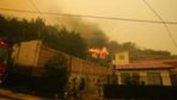 hitzewelle: mindestens 46 tote bei waldbränden in chile