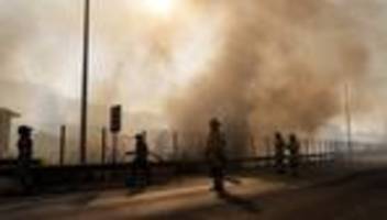 chile: mehrere tote bei waldbränden in chile
