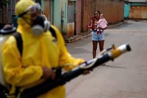 denguefieber breitet sich in brasilien aus: mehrere regionen rufen notstand aus