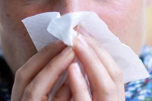 RKI: Grippewelle dauert an - Coronazahlen weiter rückläufig