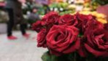 brauchtum: millionen rosen zum valentinstag in frankfurt gelandet