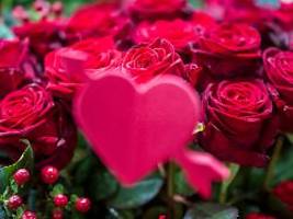 auf alternativen zurückgreifen: wie nachhaltig sind schnittblumen zum valentinstag?
