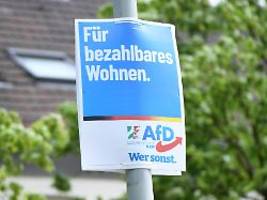 warnung vor dexit: iw-Ökonom: afd keine partei für kleine leute