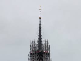 Neuer Turm von Notre-Dame: Wie der Hahn aus der Asche