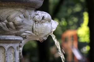 Klimawandel: Wasser ist ein Glücksfall für Augsburg