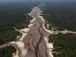 amazonas: wenn sich regenwald in savanne verwandelt