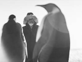 rückkehr zum land der pinguine im kino: halt den schnabel