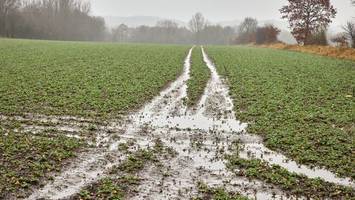 Dauerregen schafft Probleme für Bauern