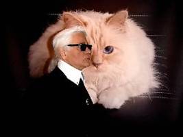 Karl Lagerfeld fünf Jahre tot: Was macht eigentlich seine Katze Choupette?