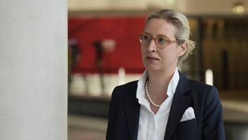 Neues Politiker-Ranking - AfD-Chefin Weidel schmiert in Umfrage ab, Baerbock legt zu