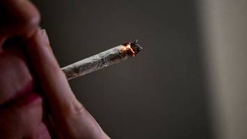 Kinderarzt warnt: „Cannabisgesetz gefährdet die Jugend“