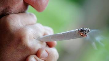 legalize cannabis: bundestagsabgeordneter zieht einen durch