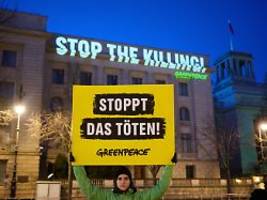 stoppt das töten: greenpeace projiziert forderung an russische botschaft