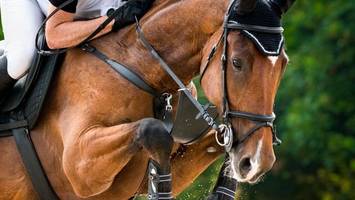 schlimme szenen in pferdeställen: reiter spüren gegenwind
