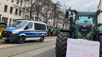 Bei Grünen-Veranstaltung in Magdeburg - Bauern begrüßen Ricarda Lang mit Buh-Rufen und Hupkonzert