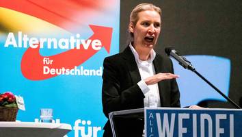 Machtkampf in der AfD - Alice Weidel gegen eigene Partei: „Sie stehlen uns unsere Lebenszeit!“