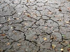 2023 gutes regenjahr: dürre in deutschland ist fast vorbei