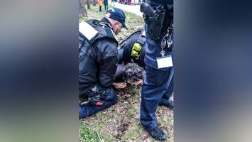 „Eschenallee“-Kahlschlag perfekt: Polizei hält Kritiker fest