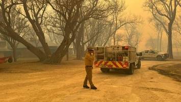 Waldbrände wüten in Texas - Gouverneur warnt Anwohner