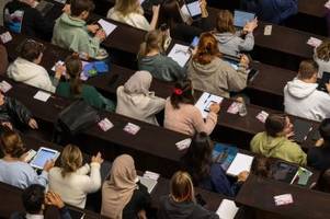 grüne fordern bafög-reform auf bürgergeld-niveau: was bedeutet das für studierende?