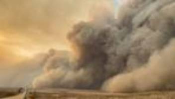 texas: waldbrände wüten weiter unkontrolliert