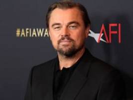 Zu schräg und zu alt: Playboy-Model gibt Leonardo DiCaprio einen Korb