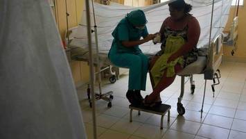 rasanter anstieg bei dengue-infektionen in brasilien