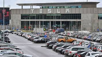 Umweltbündnis: Politik soll Tesla-Erweiterung verhindern