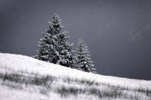 Bis zu 20 Zentimeter: Ab heute Abend schneit es wieder in Bayern