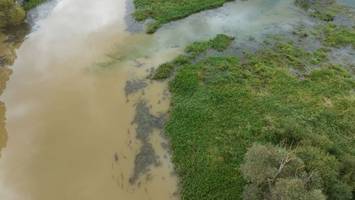 Wasserbehandlung der Spree verringert Eisengehalt im Fluss
