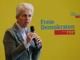 Wer stimmt mit der Union?: Liberale machen SPD vor Taurus-Antrag nervös