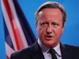 Interview mit David Cameron: „Das Beste, was wir jetzt tun können, ist, in die Nato zu investieren“