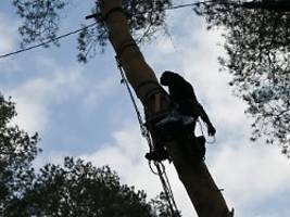nach brandanschlag auf strommast: bundesnetzagentur pocht auf mehr sicherheit für energienetze