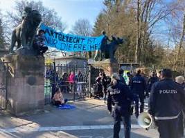 protest in nürnberg: zoo will paviane töten - tierschützer blockieren eingang